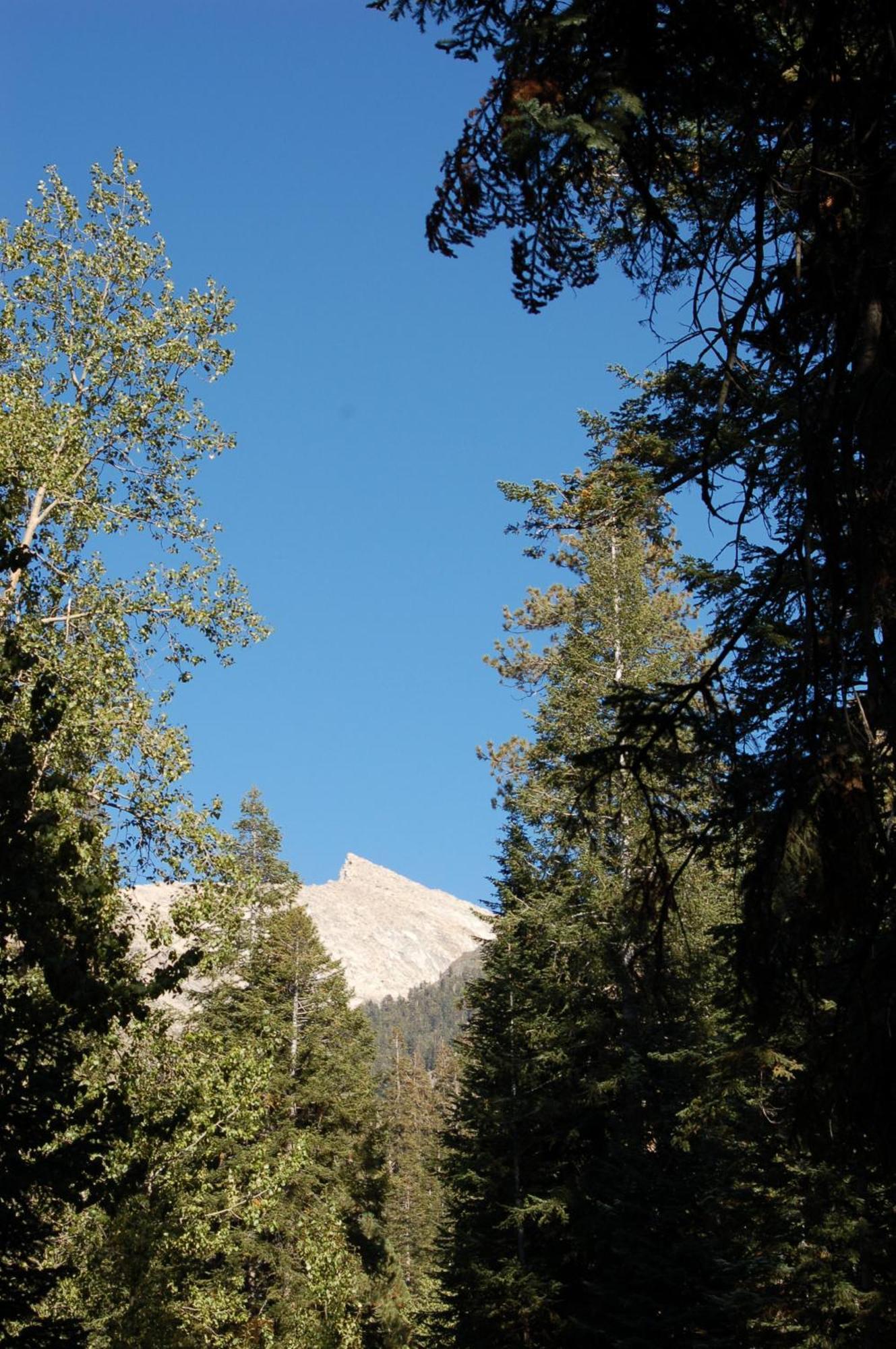 Silver City Mountain Resort Three Rivers Exteriör bild